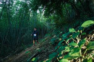 BIB: 
                            <button type="button" onclick="openModal(28124881)" class="btn btn-primary btn-sm float-right btn-popup" data-toggle="modal" data-target=".modal-high-quality">
                        <i class="fas fa-shopping-cart"></i> Add to Cart
                    </button>
                                            <button type="button" onclick="isThisMe(28124881, true)" class="btn btn-success btn-sm float-right btn-popup btn-isme hidden" data-toggle="tooltip" data-placement="bottom" title="นี่คือรูปของคุณใช่ไหม คลิกที่นี่เพื่อเอาเข้าอัลบั้ม">
                        <i class="fas fa-plus"></i> Add to album
                    </button>
                    <button type="button" onclick="isThisMe(28124881, false)" class="btn btn-warning btn-sm float-right btn-popup btn-isnotme hidden">
                        <i class="fas fa-ban"></i> Remove from album
                    </button>